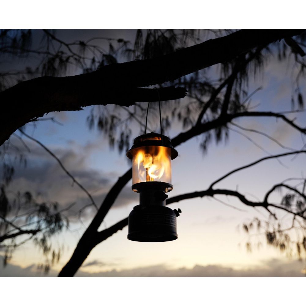 Coleman Dual Fuel Lantern Hanging from a tree