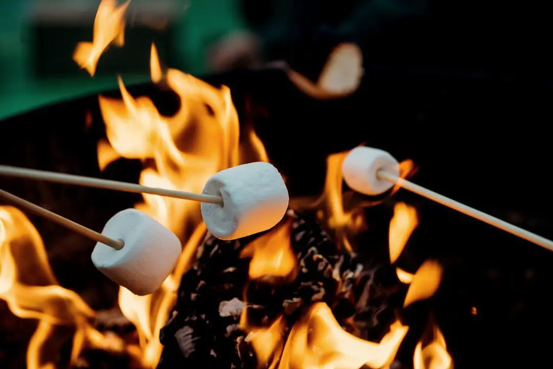 Roasting marshmallows on a propane Fire Pit for camping