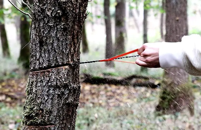 Cutting a tree with a chain rope saw