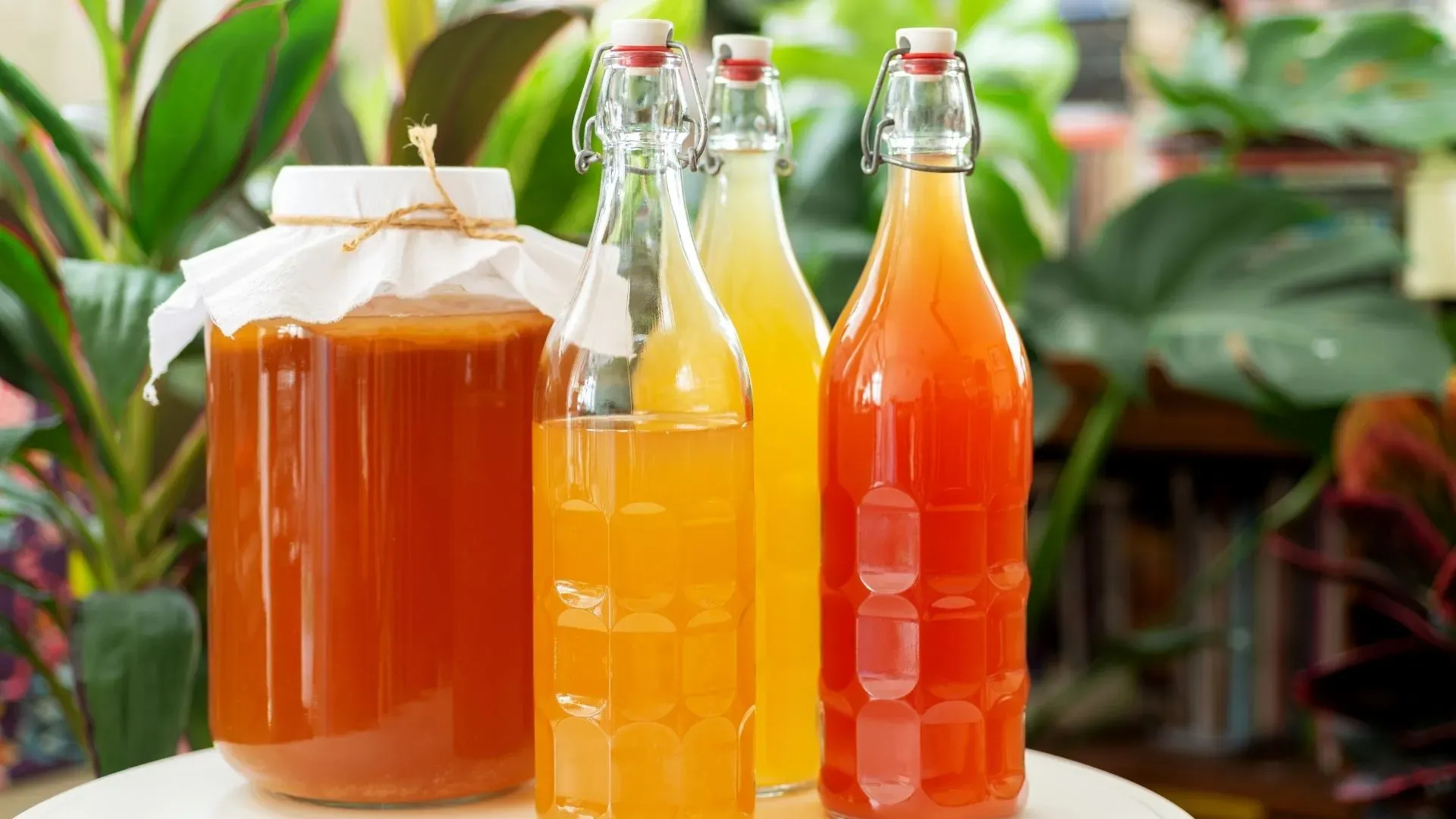 You can prepare kombucha at home in small batches