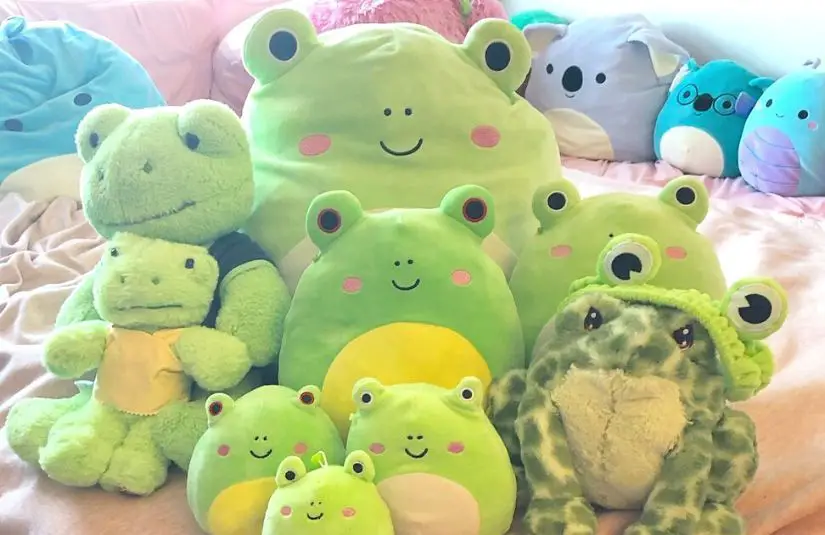 Add some cuddly frog squishmallows to your life. 