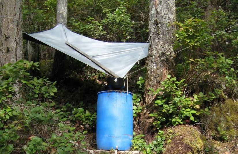 collecting rainwater using a tarp