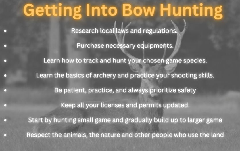 How to Start Bow Hunting