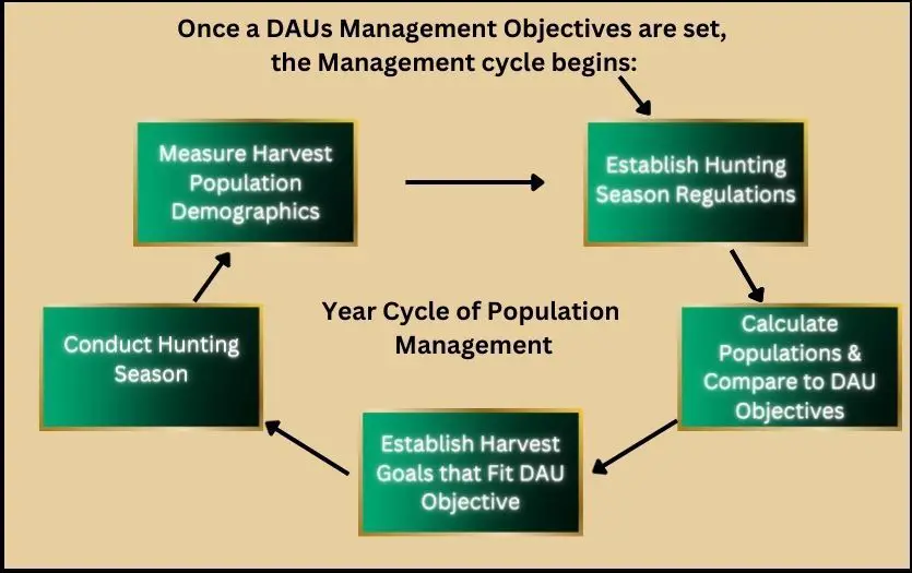 game management cycle