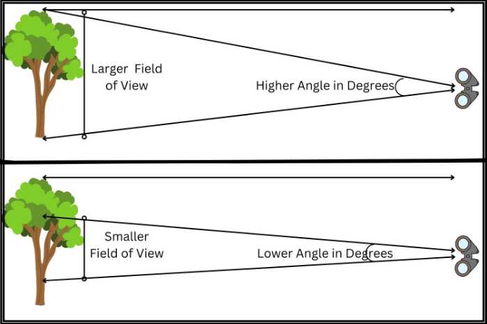Understanding the field of View