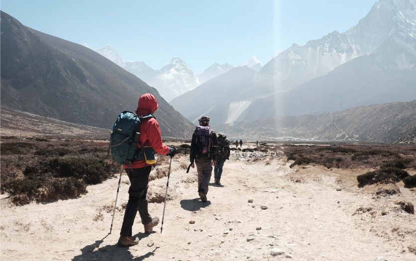 having the right trekking poles will make your journey comfortable