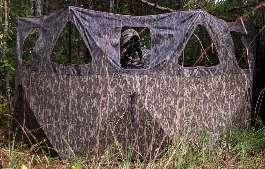 What Colors Should You Avoid for Safe Turkey Hunts? The Essential Answer