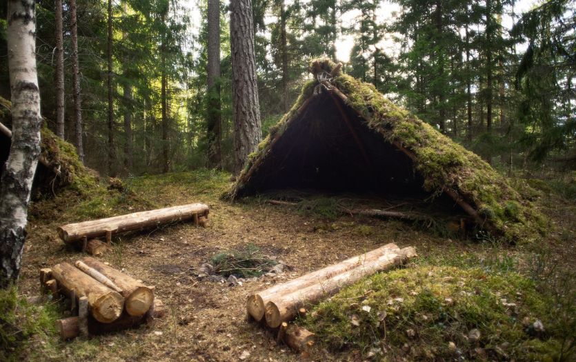 Basic Survival Shelter in the woods