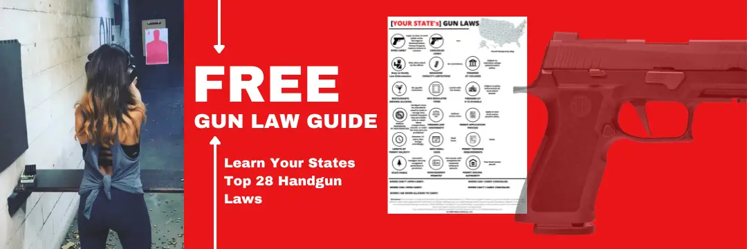 gun law guide