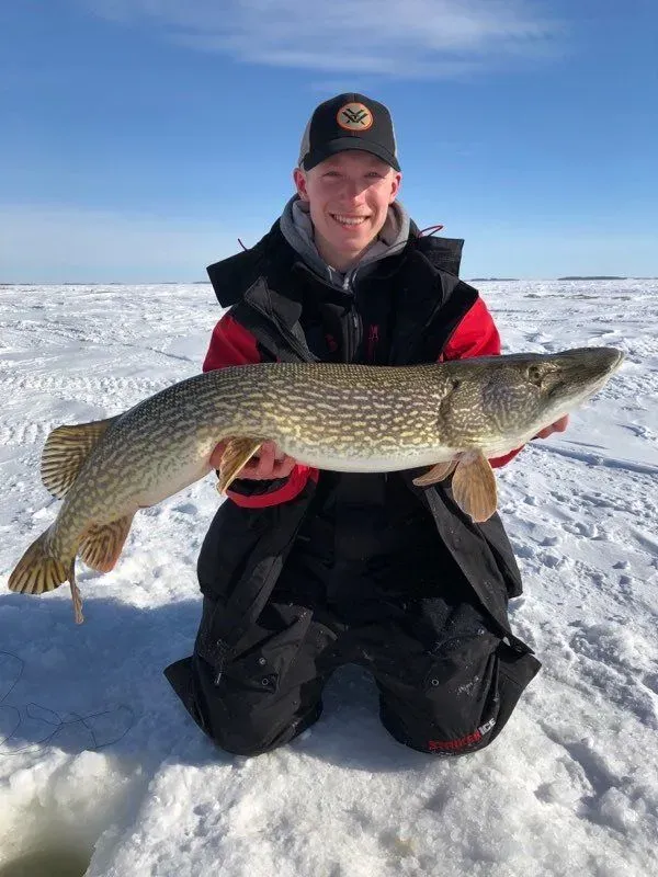 A large pike caught in Devils Lake