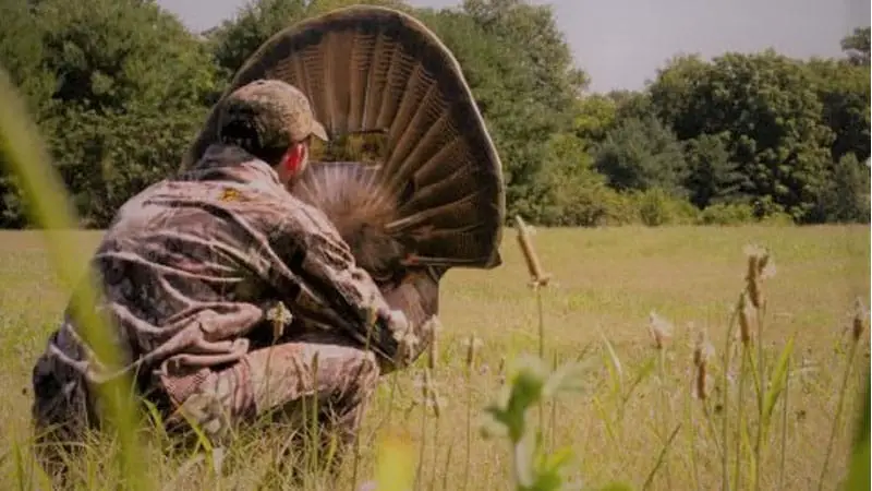 Forget the Hype: Why You Should Avoid Tail-Fanning in Turkey Hunting