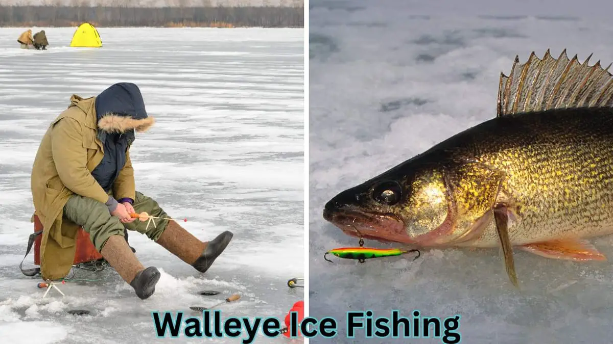 Unlock the Secrets of Lake Mille Lacs Ice Fishing With Expert Tips