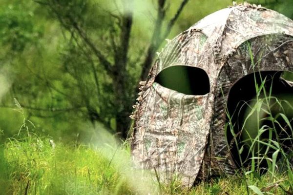 Best Ground Blind for Bowhunting