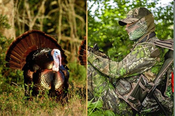 Best Turkey Hunting Vest