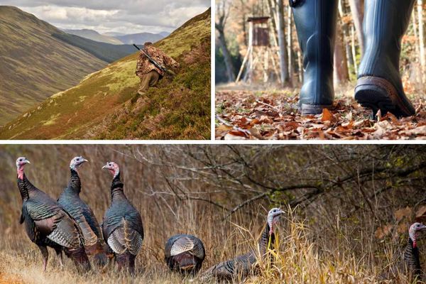 Best Turkey Hunting Boots