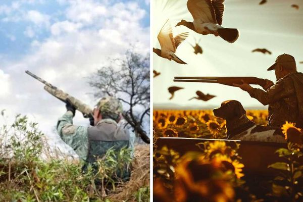 What To Wear For Dove Hunting: A Fashion Forward Hunter's Guide