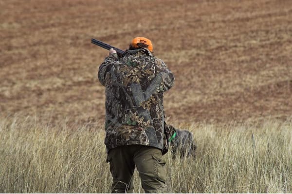 Why Weight Loss Is Imperative For Your Next Hunt