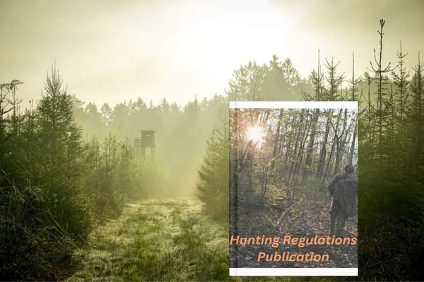 What Type of Information Would You Find in a Hunting Regulations Publication